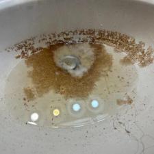 Sediment-in-your-water-Let-us-help-you-Customer-in-Arnaudville-La 0